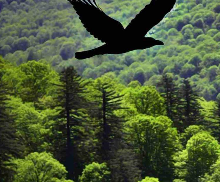 A majestic wild bird performing an aerial dance in the sky, soaring above the mountainous terrain.